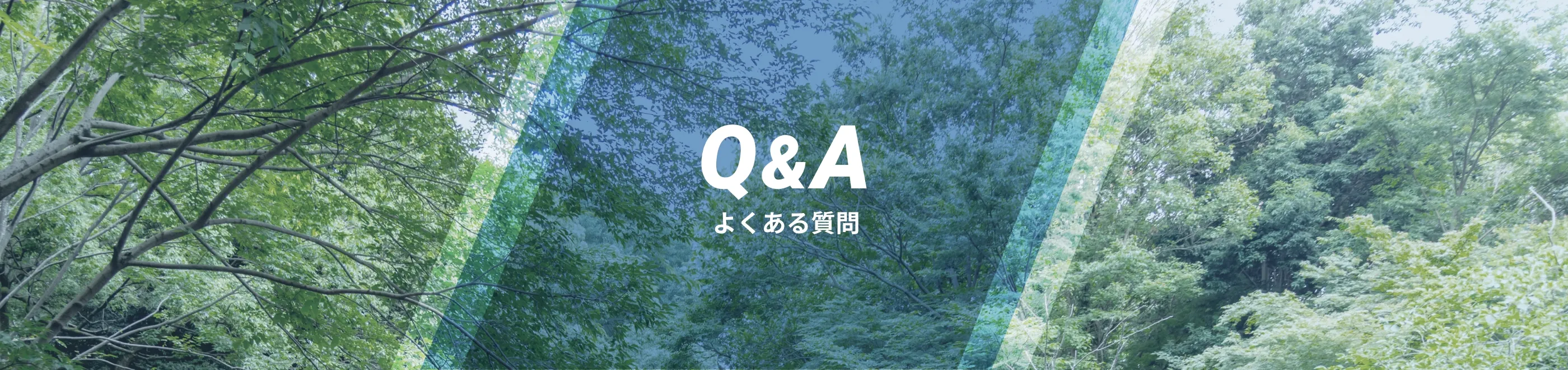 Q&A よくある質問