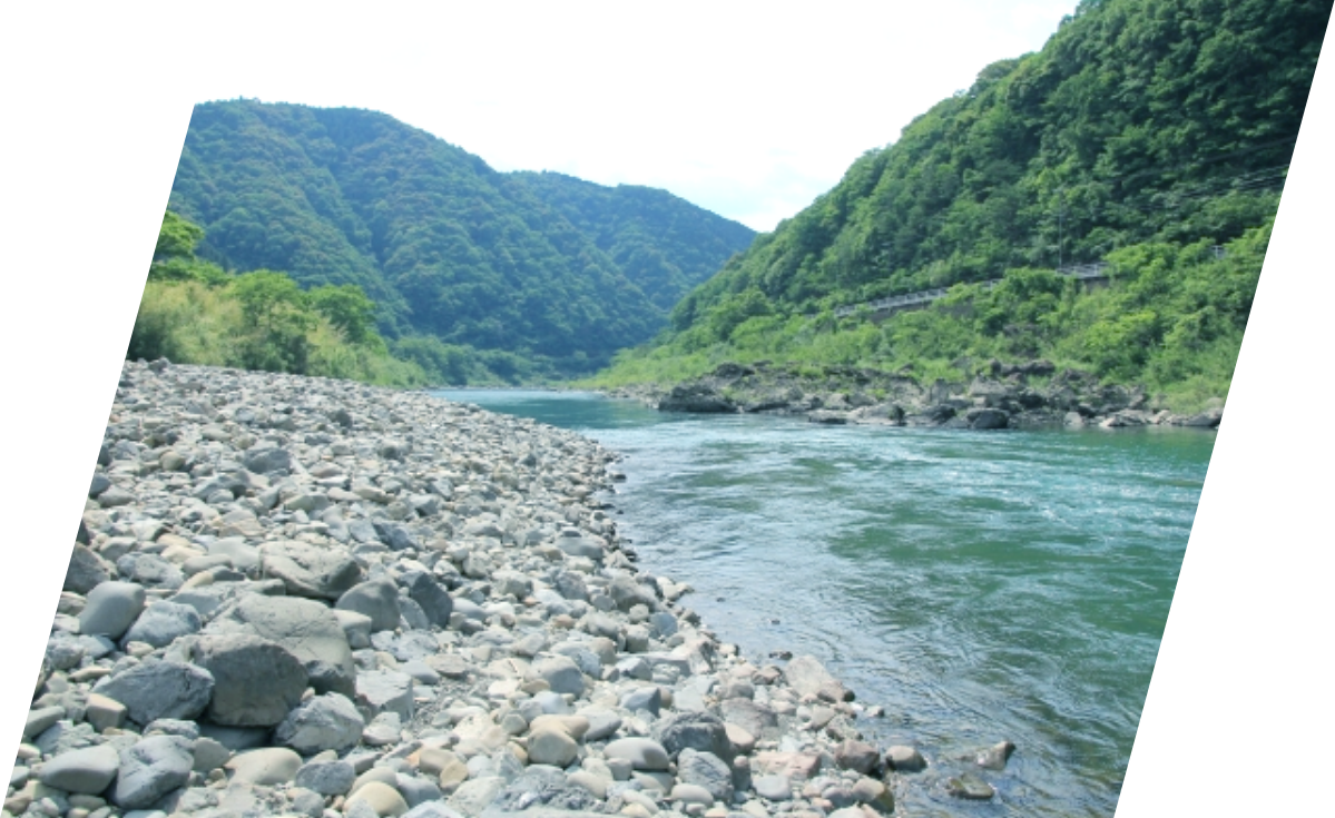 環境汚染の回避